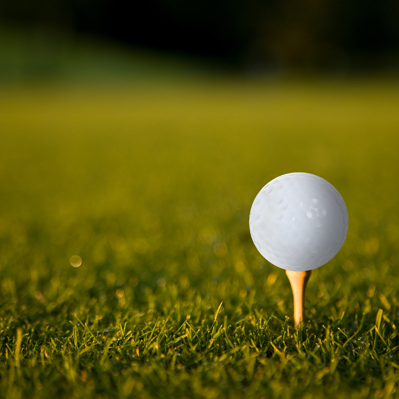 Golf Equipment For Beginners - كرات جولف للتدريب الداخلي، معدات للمسافات